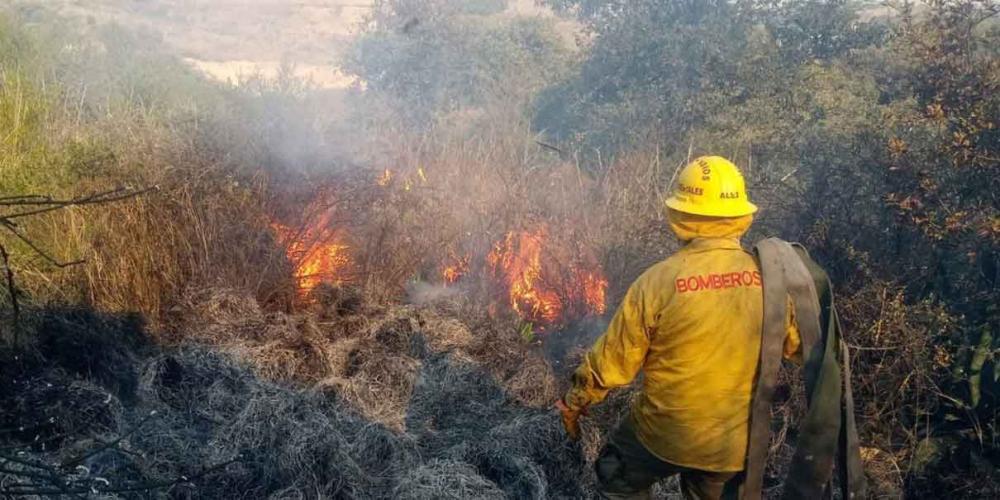 En Puebla registra 4 incendios forestales; 2 de ellos activos