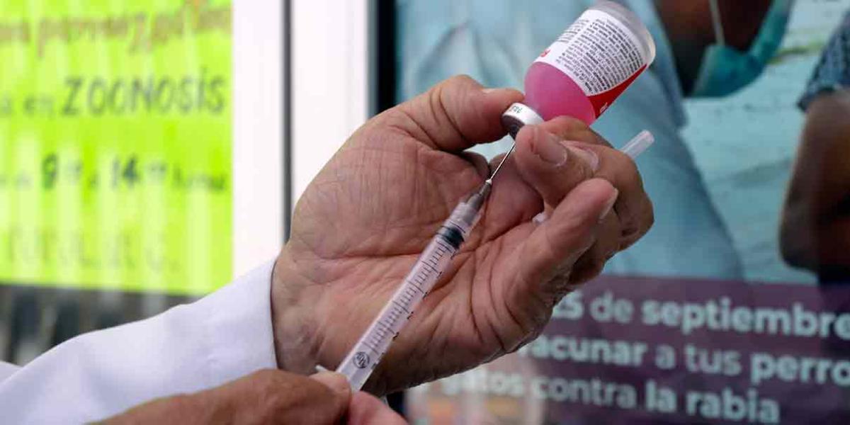 Personal municipal falso aplica vacunación antirrábica a mascotas en la capital 
