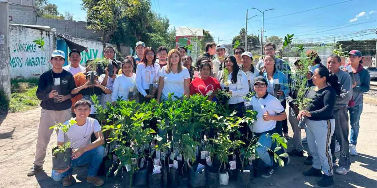 Con jornadas de reforestación, desarrollamos espacios verdes: Armenta 