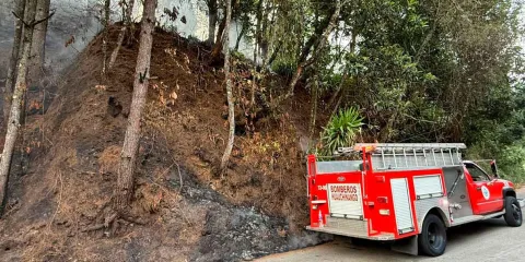 Sofocan incendios forestales en Huauchinango y detienen a responsable  