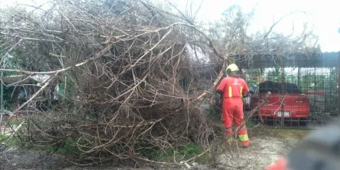 Coordinación interinstitucional y monitoreo puntual del Gobierno de la Ciudad refuerzan la prevención ante lluvias