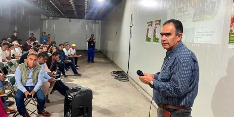Refuerza Gobierno de la Ciudad acciones para prevenir la propagación del gusano barrenador