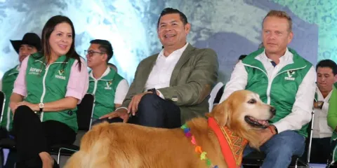 Ecologistas ven en Armenta y Chedraui bases para mantener alianzas