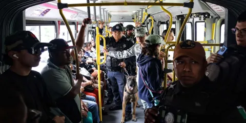 Escuadrón canino realiza operativo en RUTA: detectan marihuana y objetos prohibidos