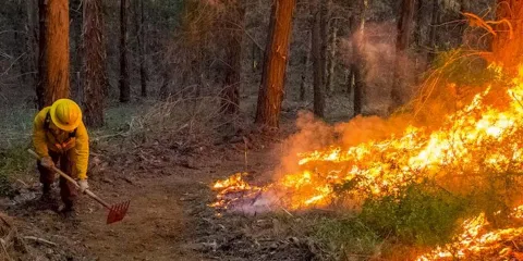 Primeros incendios forestales alertan a la región de Serdán