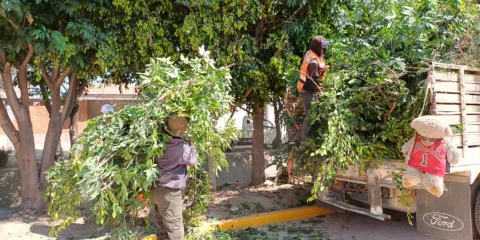 Con participación ciudadana, Tonantzin Fernández impulsa faena en Momoxpa