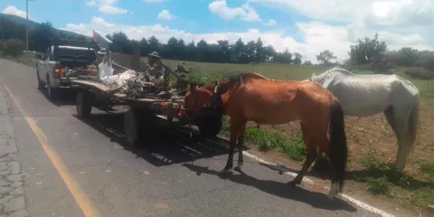 Pareja es atacada por enjambre de abejas en Serdán; ambos fueron hospitalizados