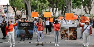 Para frenar violencia contra animales, marchan en Puebla para exigir penas más fuertes
