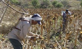 Coneval revela que sigue la pobreza en municipios porque no llegan remesas 