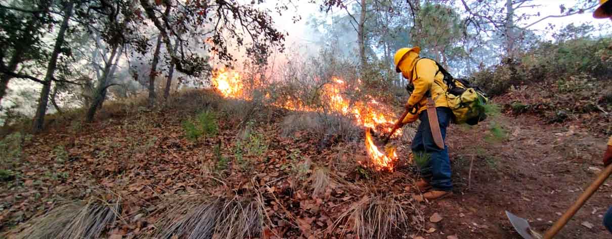 Puebla es séptimo lugar nacional en incendios forestales en 10 meses