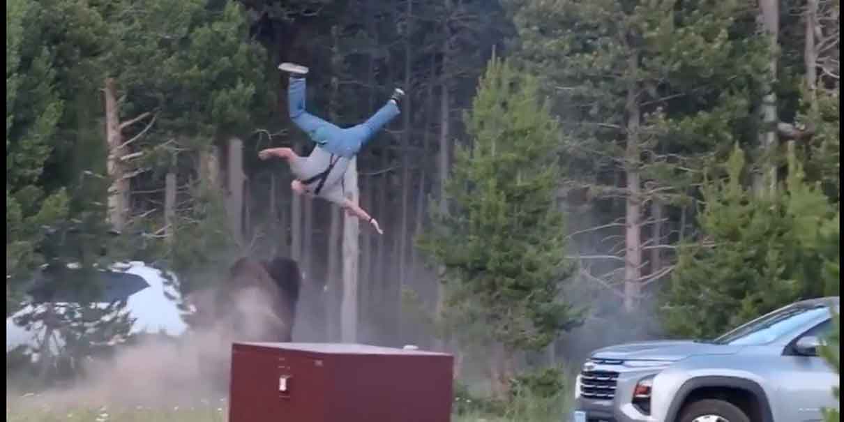 Bisonte embiste y lanza por los aires a un turista en Yellowstone; el ataque quedó grabado