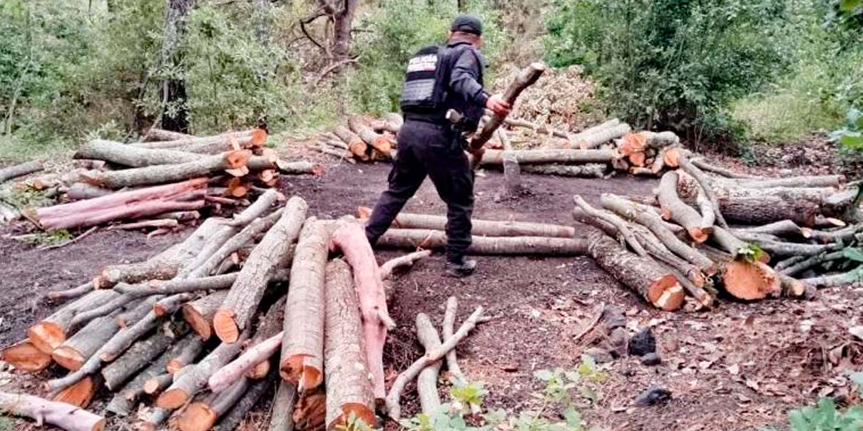 Descubren tala en Ixtacamaxtitlán; destruyen hornos de deshidratación