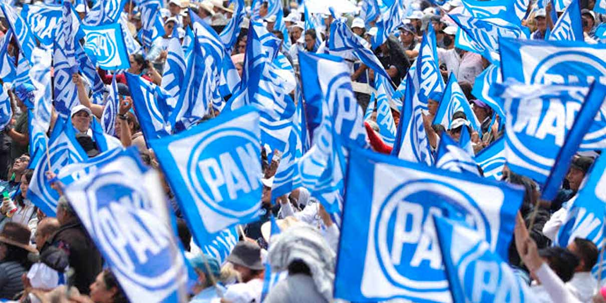 Hay un PAN desesperado, sin liderazgo ni rumbo político: PT