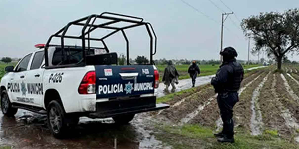 Hallan cadáver de mujer en terrenos de cultivo de Huejotzingo