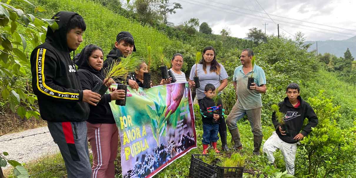 15 municipios se unen al compromiso ambiental en el estado