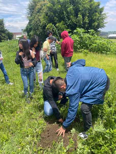 15 municipios se unen al compromiso ambiental en el estado