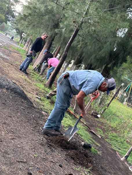 15 municipios se unen al compromiso ambiental en el estado