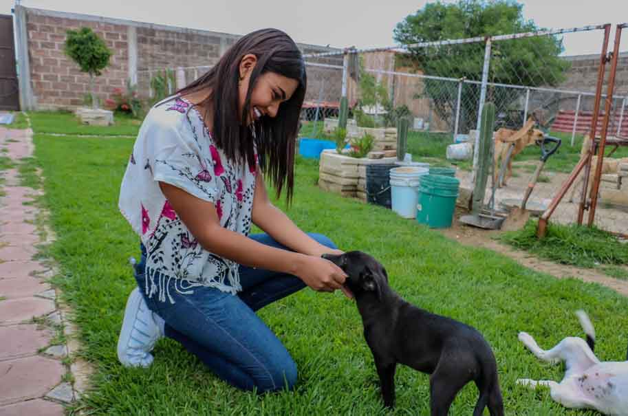 Armenta: Apoyo comunitario y protección animal será una realidad en Puebla