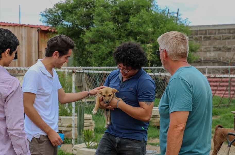 Armenta: Apoyo comunitario y protección animal será una realidad en Puebla