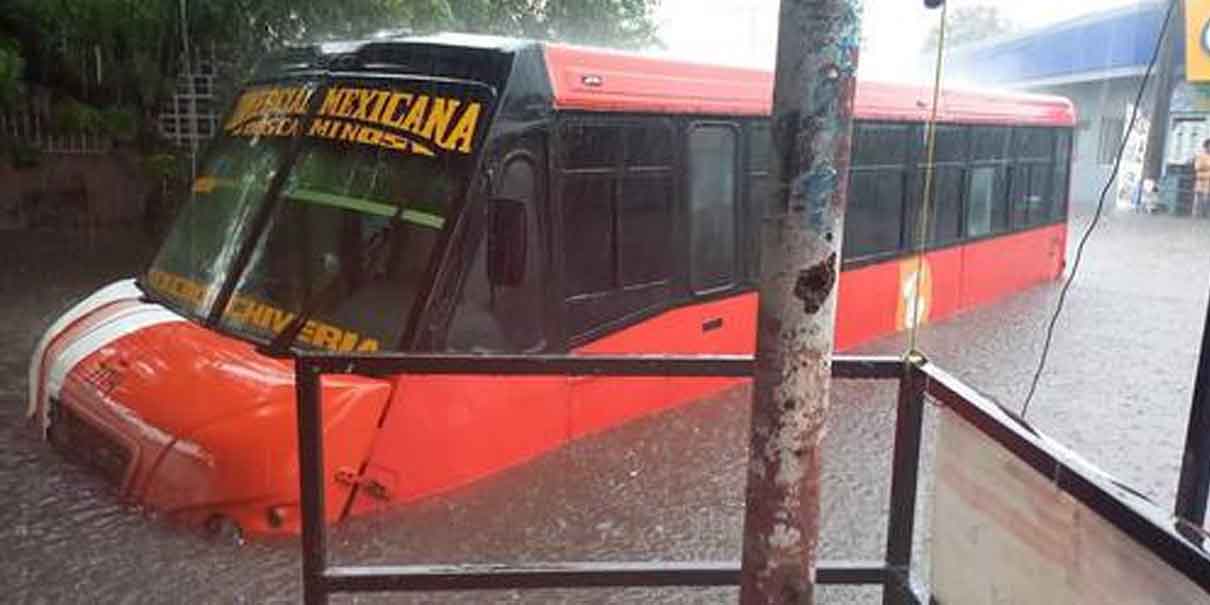 Autos flotan en Veracruz tras fuertes lluvias e inundaciones
