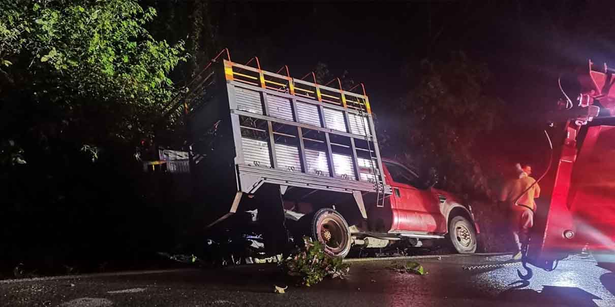 Camión con cerdos se accidenta en la Pachuca-Tuxpan