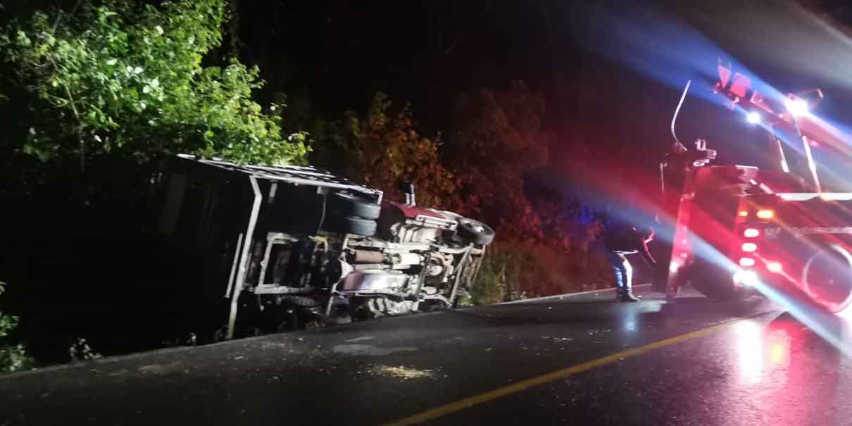 Camión con cerdos se accidenta en la Pachuca-Tuxpan