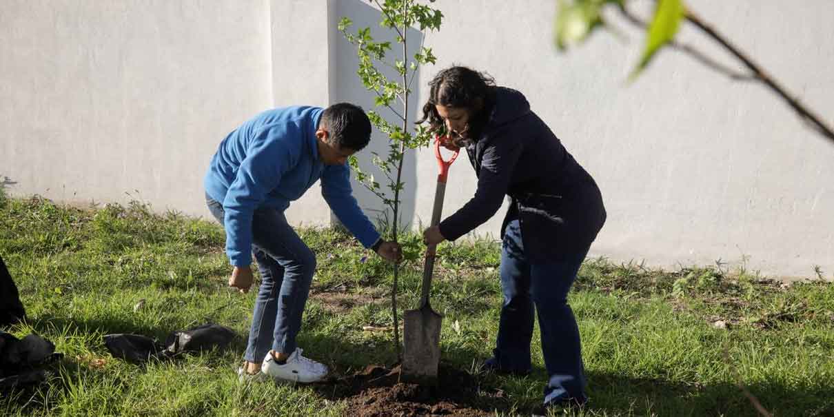 Guadalupe Cuautle arranca jornada de reforestación