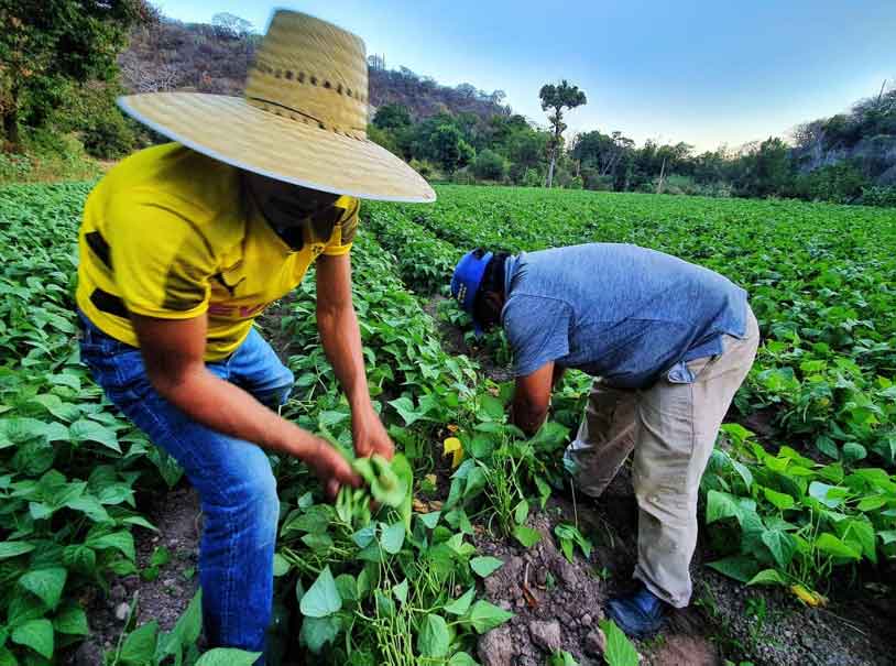 La transformación del campo poblano está alineada al Programa Nacional de Soberanía Alimentaria Armenta2.jpg