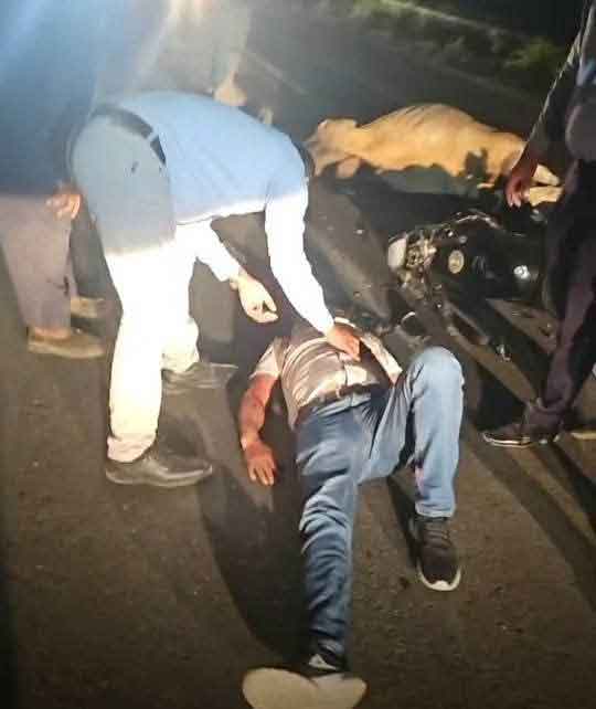 Motociclista fracturado tras impactar vaca en carretera Pachuca-Tuxpan