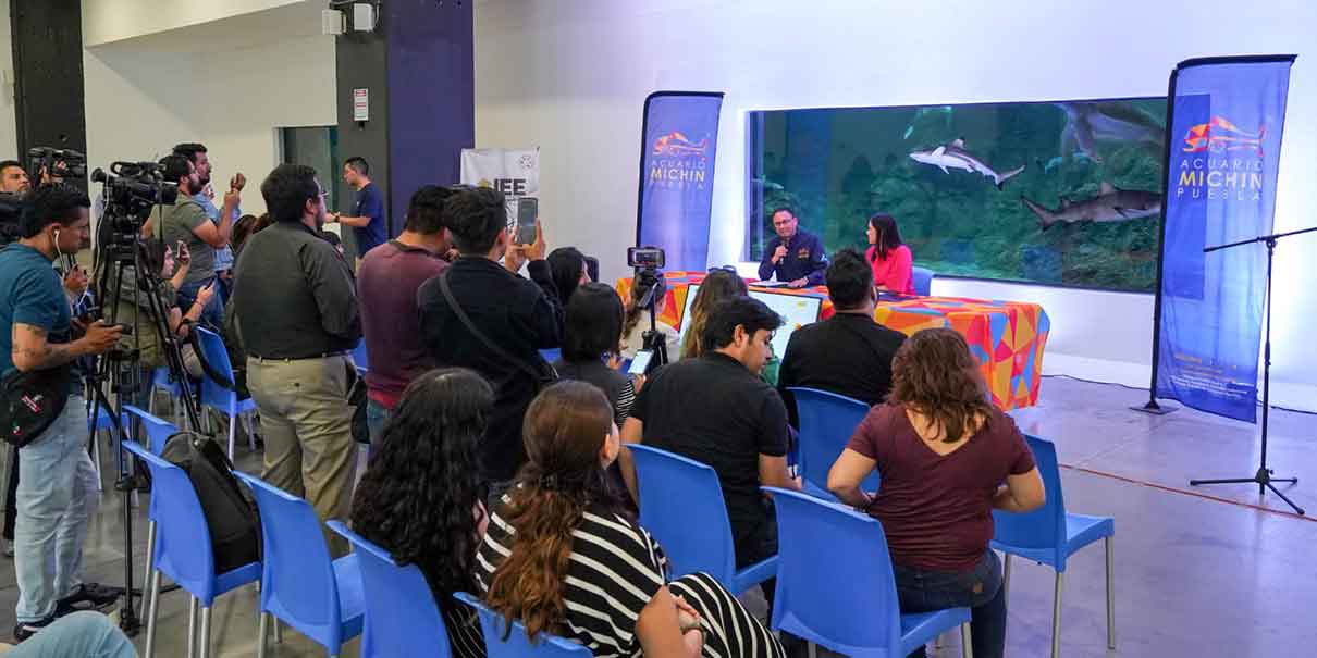 Acuario Michin 