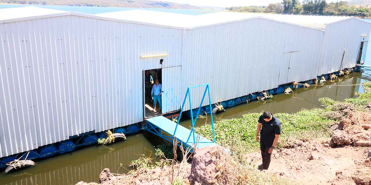 Proyecto de saneamiento 