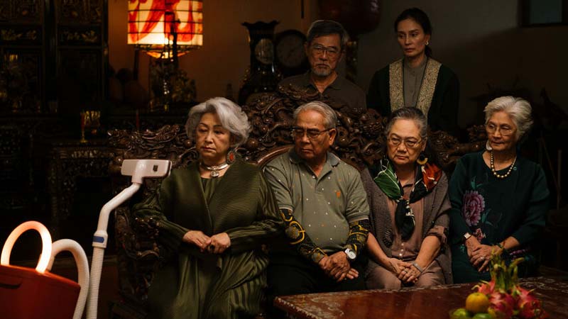 Del terror al drama: los estrenos imperdibles de MUBI para disfrutar este mes