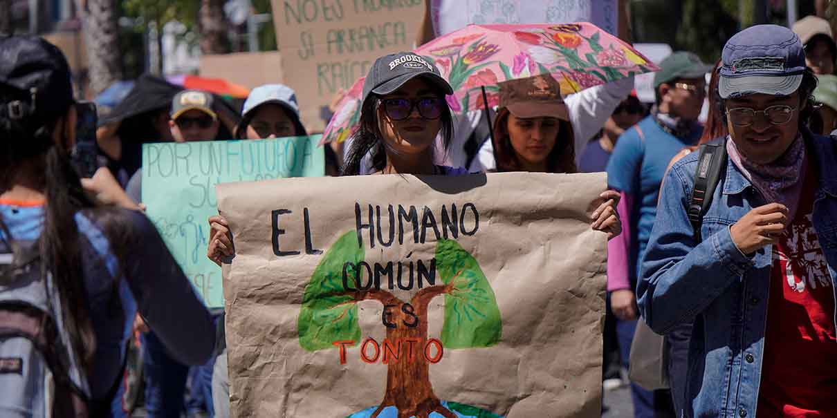 Ambientalistas