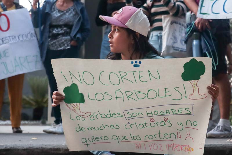 Colectivos en Puebla buscan amparo para hacer público el Estudio de Impacto Ambiental del Cablebús