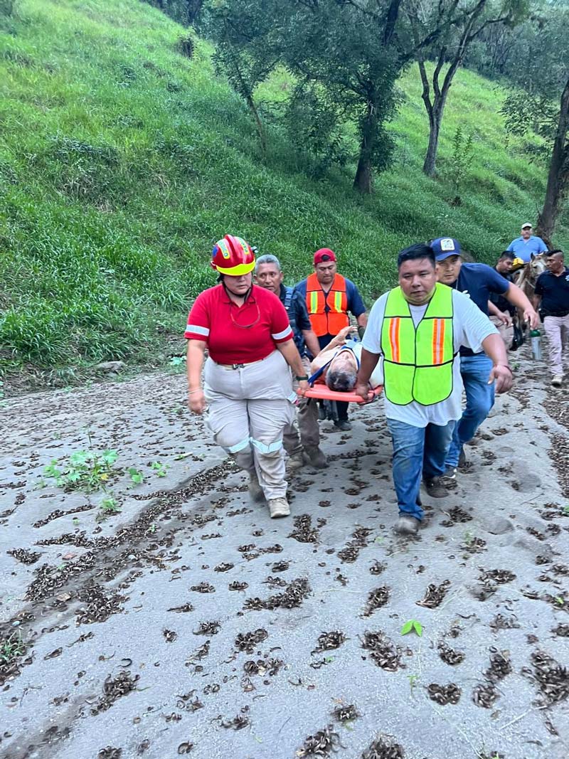 Cae vehículo a barranco de 70 metros en Jalpan; rescatan con vida a conductor