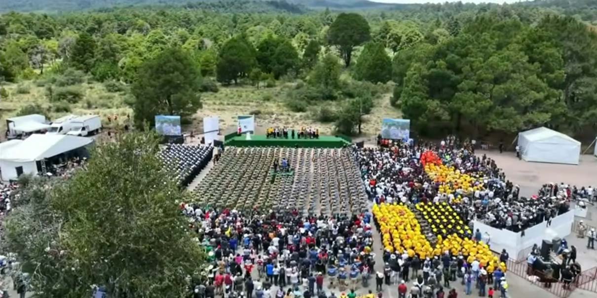 Jornada Nacional de Reforestación Siembra Conciencia, Comunidad y Futuro