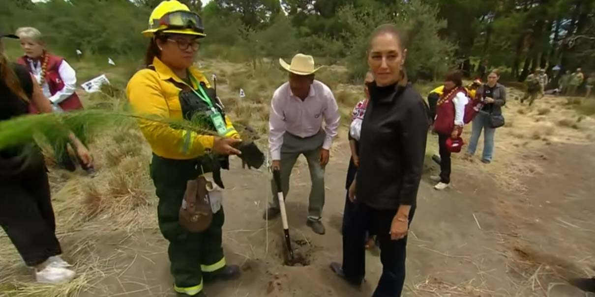 Jornada Nacional de Reforestación Siembra Conciencia, Comunidad y Futuro