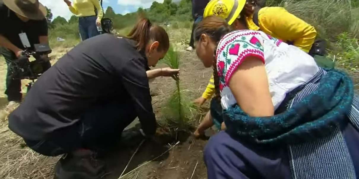 Jornada Nacional de Reforestación Siembra Conciencia, Comunidad y Futuro