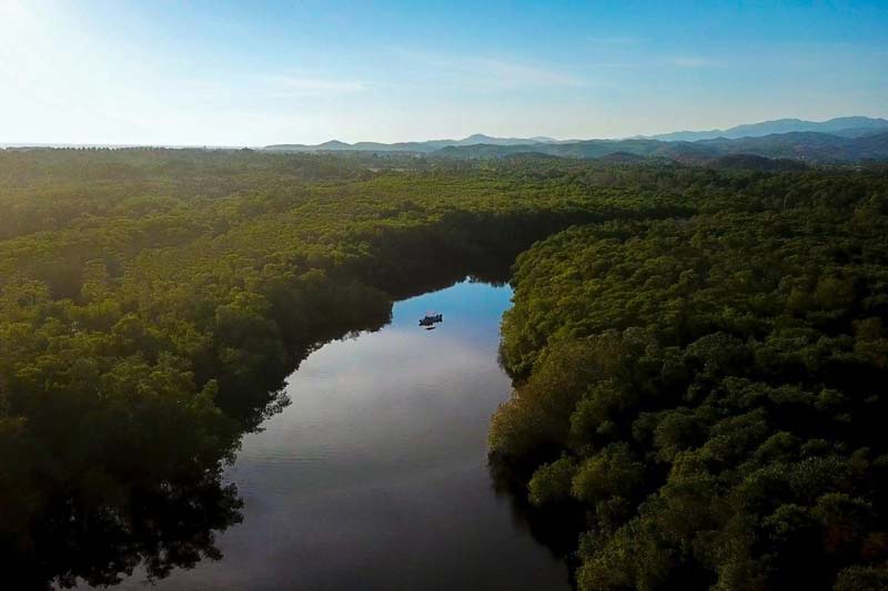 Laguna de Manialtepec: el paraíso bioluminiscente de Oaxaca que debes ver de noche