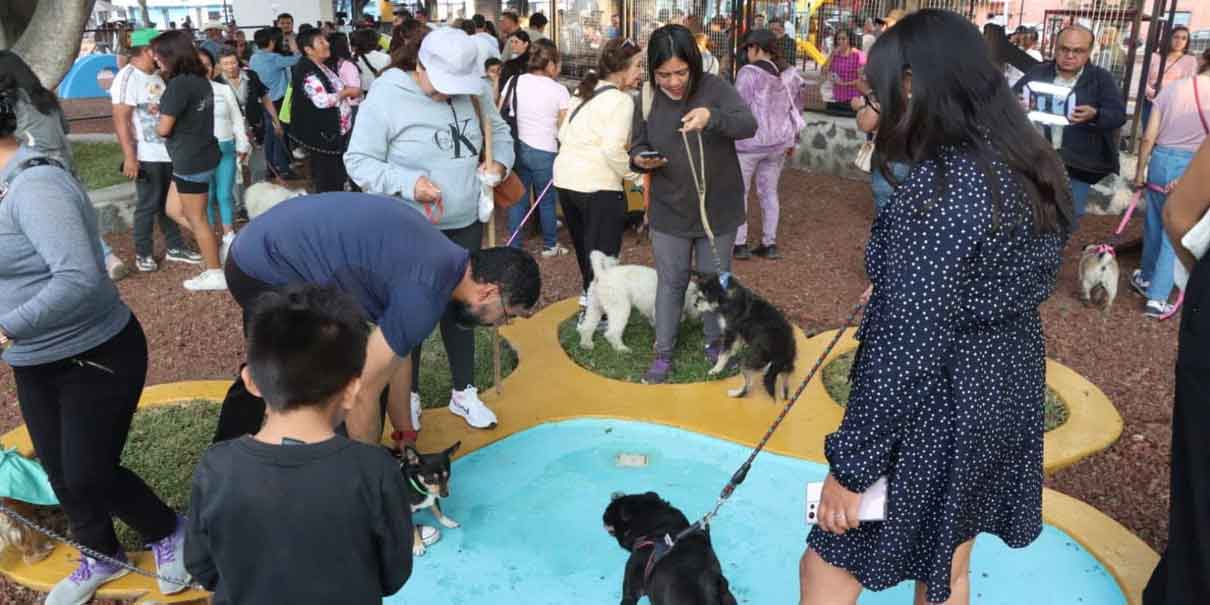 Atlixco ya cuenta con su parque para mascotas