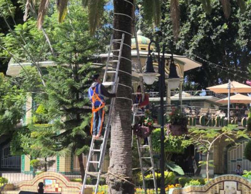 Atlixco renueva su zócalo tras Valle de Catrinas y se alista para la Villa Iluminada 2025