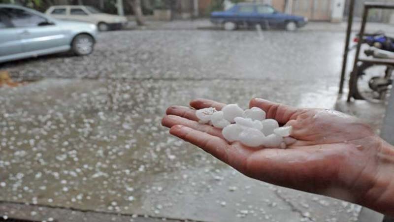 Atlixco sufre granizada: cempasúchil en maceta entre lo más dañado