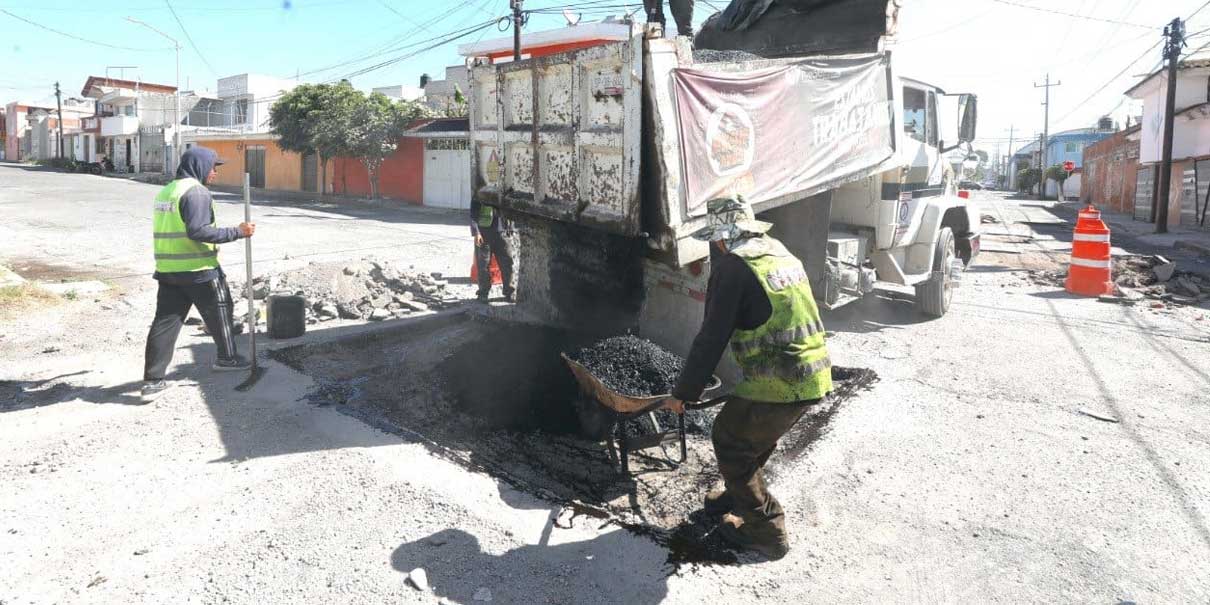 Bacheo