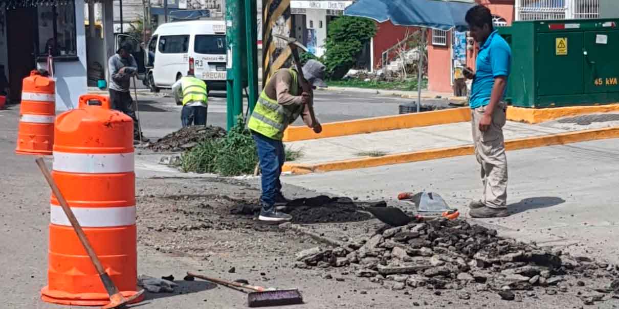 Bacheo