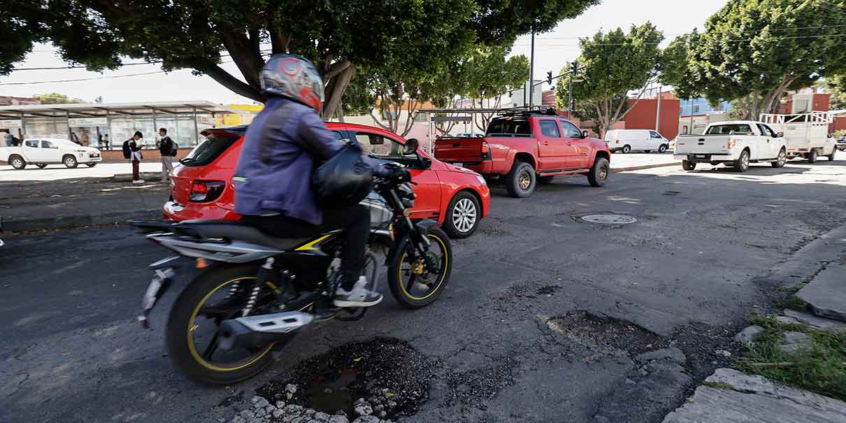 Baches
