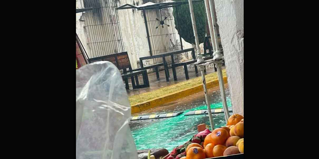 Parque de los Cedros