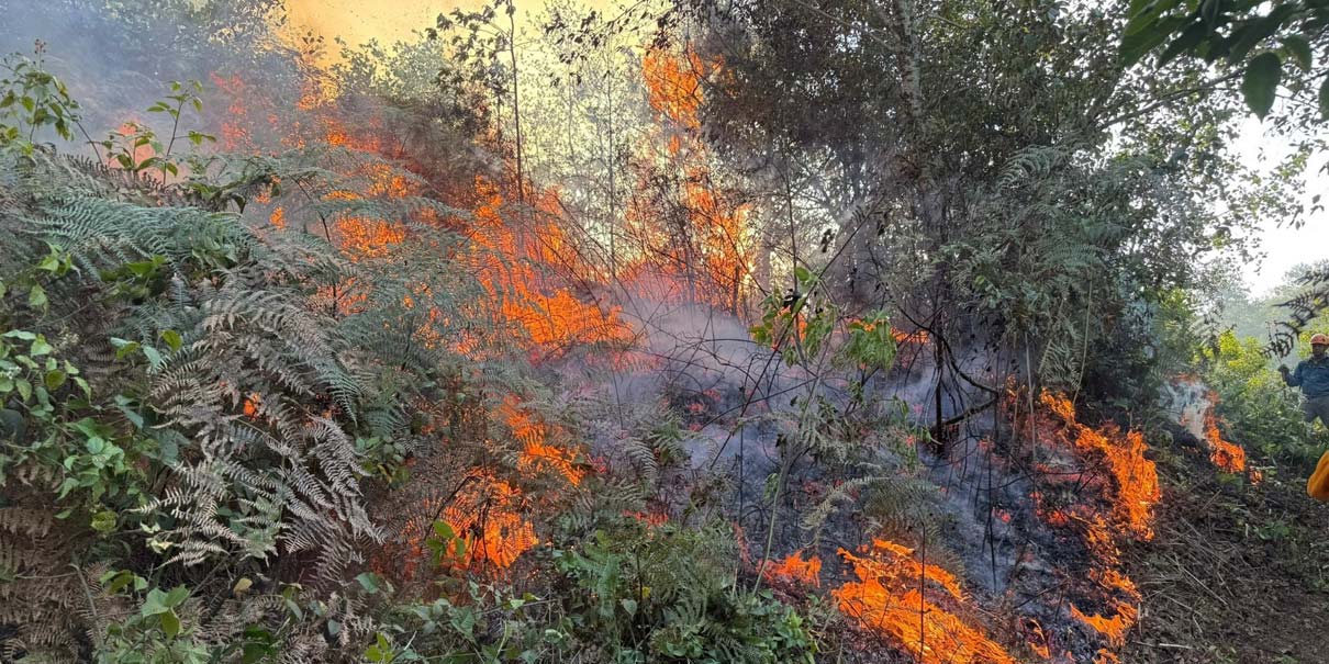 Controlan incendio forestal en Huauchinango