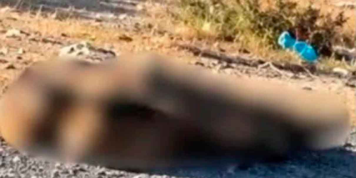 El cadáver contaba con signos de violencia