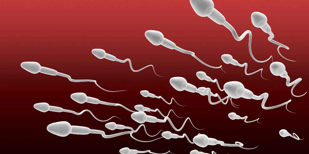 Semen