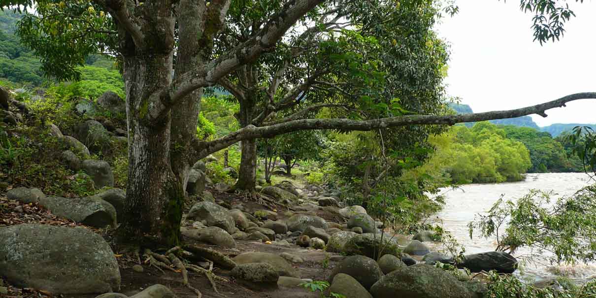  Cañón de las Orquídeas